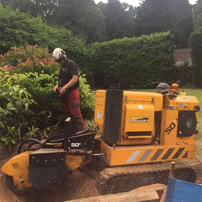 a stump grinder